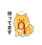 名前入りポメラニアンオレンジ（個別スタンプ：12）