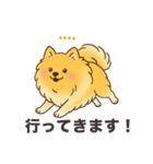 名前入りポメラニアンオレンジ（個別スタンプ：14）