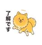 名前入りポメラニアンオレンジ（個別スタンプ：15）