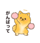 名前入りポメラニアンオレンジ（個別スタンプ：17）