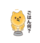 名前入りポメラニアンオレンジ（個別スタンプ：19）