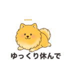 名前入りポメラニアンオレンジ（個別スタンプ：21）