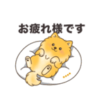 名前入りポメラニアンオレンジ（個別スタンプ：22）