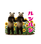 THEパンダ4（個別スタンプ：11）