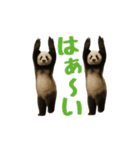 THEパンダ4（個別スタンプ：13）