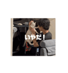 おじょう日記2（個別スタンプ：1）