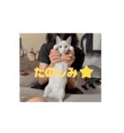 おじょう日記2（個別スタンプ：10）