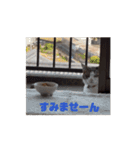 おじょう日記2（個別スタンプ：15）