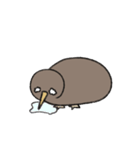 きぃうぃ（動）（個別スタンプ：12）