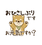 動く柴犬さん 2025 「丁寧な長文」（個別スタンプ：2）