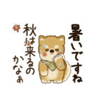 動く柴犬さん 2025 「丁寧な長文」（個別スタンプ：3）