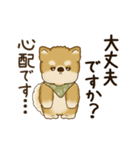 動く柴犬さん 2025 「丁寧な長文」（個別スタンプ：7）