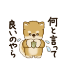 動く柴犬さん 2025 「丁寧な長文」（個別スタンプ：11）