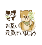 動く柴犬さん 2025 「丁寧な長文」（個別スタンプ：12）