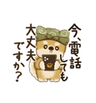 動く柴犬さん 2025 「丁寧な長文」（個別スタンプ：14）