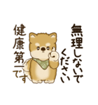 動く柴犬さん 2025 「丁寧な長文」（個別スタンプ：16）