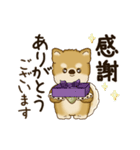 動く柴犬さん 2025 「丁寧な長文」（個別スタンプ：17）