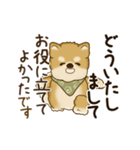 動く柴犬さん 2025 「丁寧な長文」（個別スタンプ：19）