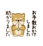 動く柴犬さん 2025 「丁寧な長文」（個別スタンプ：22）