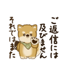 動く柴犬さん 2025 「丁寧な長文」（個別スタンプ：23）