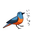 眉毛付き身近な鳥スタンプ（個別スタンプ：1）