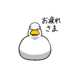 眉毛付き身近な鳥スタンプ（個別スタンプ：3）