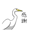 眉毛付き身近な鳥スタンプ（個別スタンプ：4）