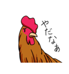 眉毛付き身近な鳥スタンプ（個別スタンプ：9）