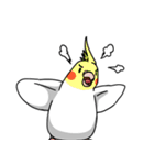 眉毛付き身近な鳥スタンプ（個別スタンプ：14）