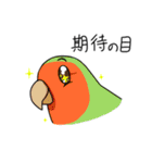 眉毛付き身近な鳥スタンプ（個別スタンプ：16）