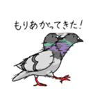 眉毛付き身近な鳥スタンプ（個別スタンプ：17）