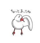 眉毛付き身近な鳥スタンプ（個別スタンプ：20）