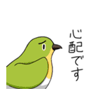 眉毛付き身近な鳥スタンプ（個別スタンプ：21）