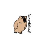 しゃべるマーモット（個別スタンプ：1）