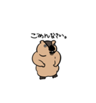 しゃべるマーモット（個別スタンプ：3）