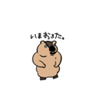 しゃべるマーモット（個別スタンプ：5）