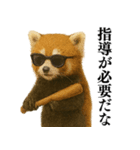 【爆笑】めっちゃ面白いレッサーパンダ（個別スタンプ：2）