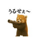 【爆笑】めっちゃ面白いレッサーパンダ（個別スタンプ：3）