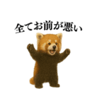 【爆笑】めっちゃ面白いレッサーパンダ（個別スタンプ：4）