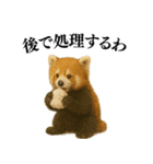 【爆笑】めっちゃ面白いレッサーパンダ（個別スタンプ：5）