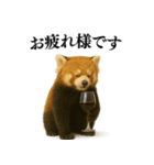 【爆笑】めっちゃ面白いレッサーパンダ（個別スタンプ：23）