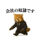 【爆笑】めっちゃ面白いレッサーパンダ（個別スタンプ：28）