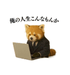 【爆笑】めっちゃ面白いレッサーパンダ（個別スタンプ：33）