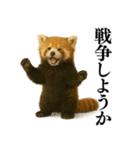【爆笑】めっちゃ面白いレッサーパンダ（個別スタンプ：37）