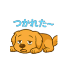"チャイ"のハッピー・スタンプ（個別スタンプ：26）