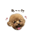 ぷなちゃん♡茶々丸くんBIGface（個別スタンプ：23）