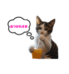 猫のおこげ①（個別スタンプ：9）