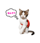 猫のおこげ①（個別スタンプ：18）