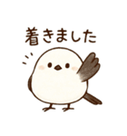 シマエナガのひとこと（個別スタンプ：11）