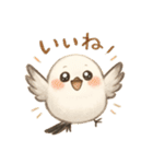 シマエナガのひとこと（個別スタンプ：16）